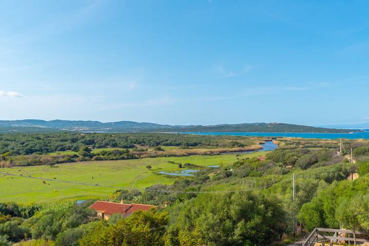 Ganze Wohnung, Ferienwohnung "Conchiglia Rosa" mit gemeinschaftlichem Garten, Meerblick & Wlan in Barrabisa, Palau (Sardinien)