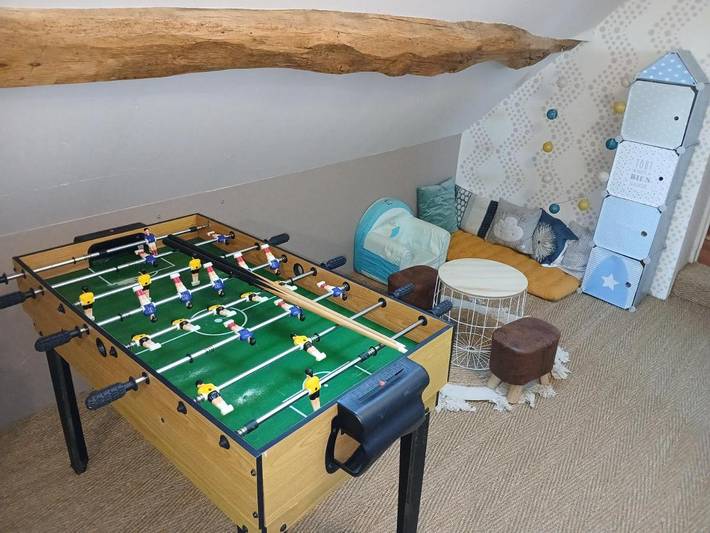 Location de vacances pour 10 personnes, avec jardin, animaux acceptés à Oisly - 3