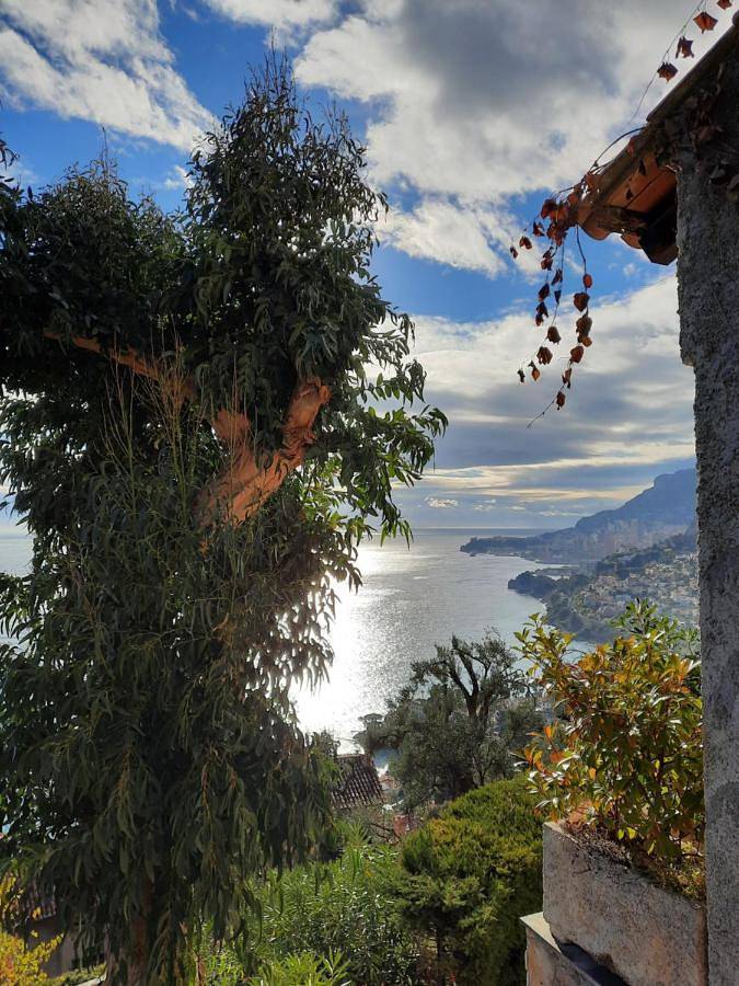 Soutariba in Roquebrune-Cap-Martin, Côte méditerranéenne (France)