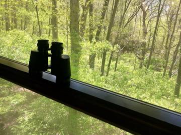 Vacation House for 2 Guests in Illinois, USA, Picture 2