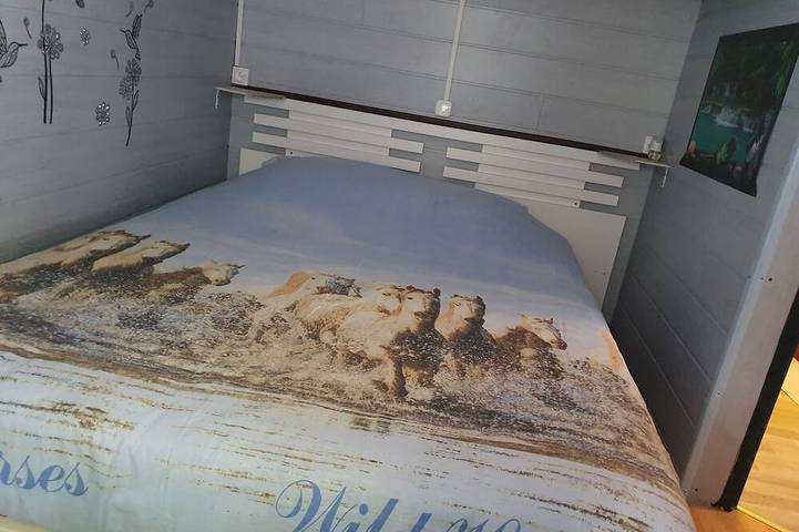 Mobil home pour 4 personnes à Vielle-Saint-Girons - 2