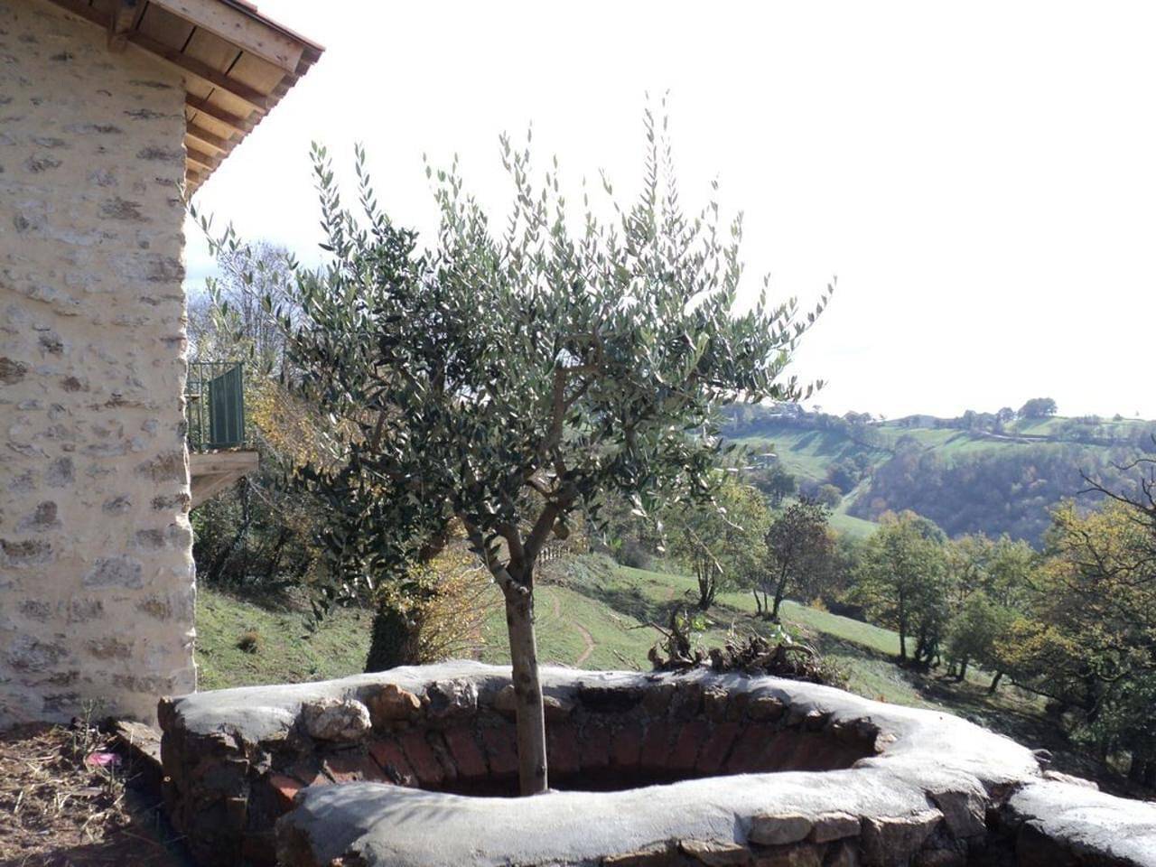 Petite maison en pierres proche du village d'agnac in Firmi, Aveyron (desambiguación)