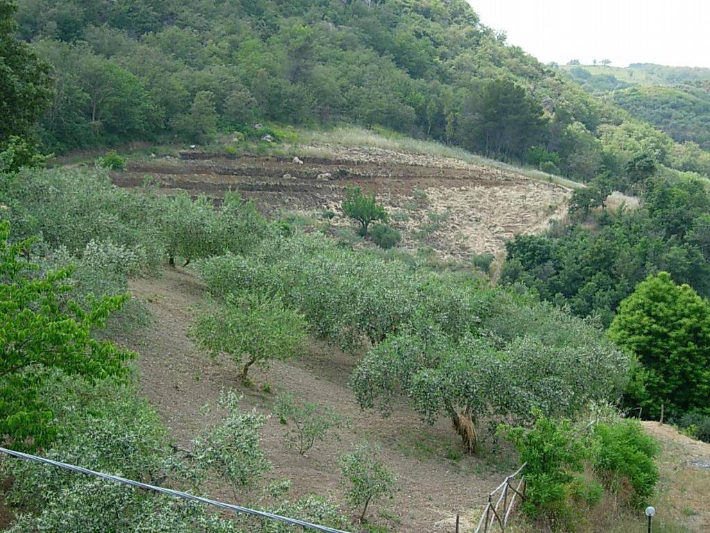 Single Room in Santa Cristina Gela, Provincia di Palermo