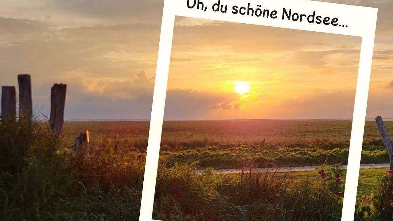 Ganze Ferienwohnung, Ferienwohnung für 5 Personen (100 m²) in Wangerland in Wiarden, Wangerland