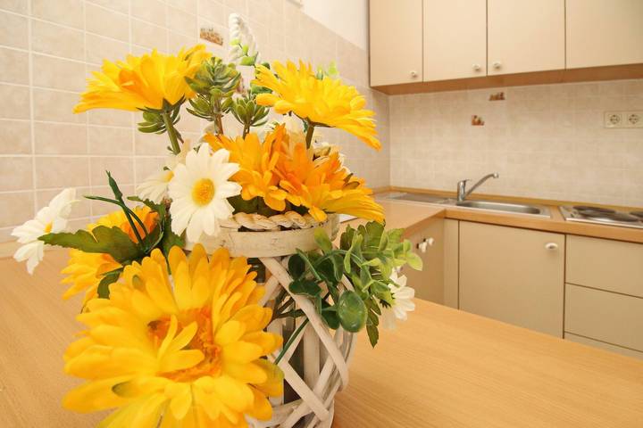 Ganze Wohnung, Apartment Radosna - 370 m vom Meer entfernt, private Terrasse, kostenloser Parkplatz, Erdgeschoss in Silo (Krk), Krk