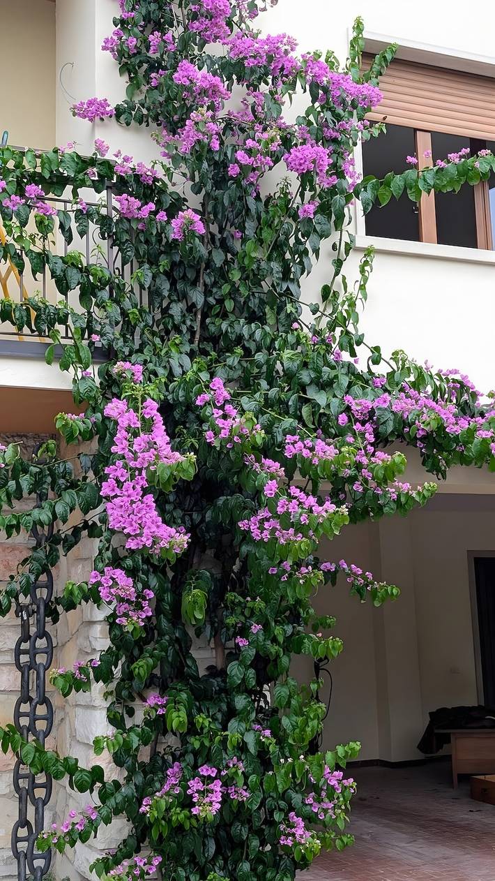 Ferienwohnung für 5 Personen, mit Garten und Balkon sowie Seeblick in Torri del Benaco
