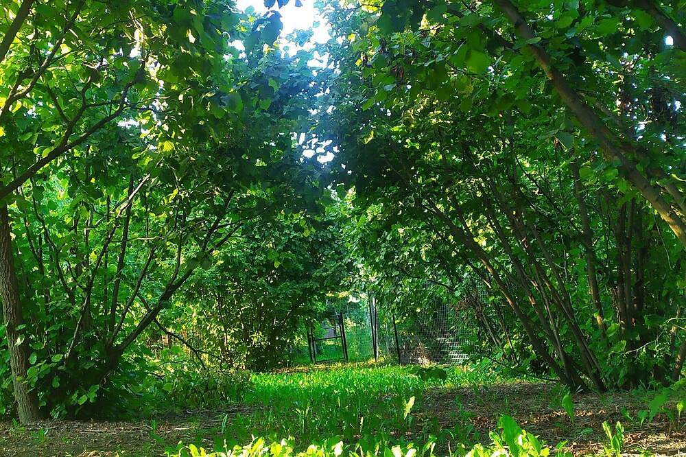 B&B Naturin - Nature, Wine, Pool and Relax in Lauriano, Turin Province