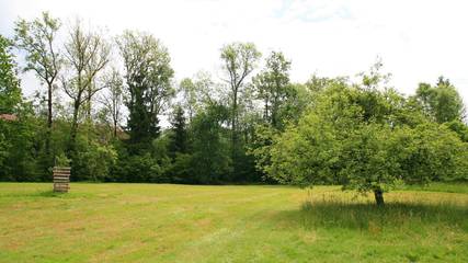Vacation Apartment for 2 Guests in Lindau, Bavarian Swabia, Picture 3