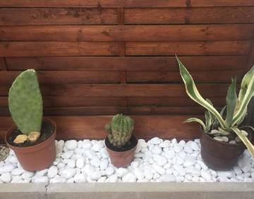 Ferienhaus für 13 Personen in Szantod, Südtransdanubien, Bild 4