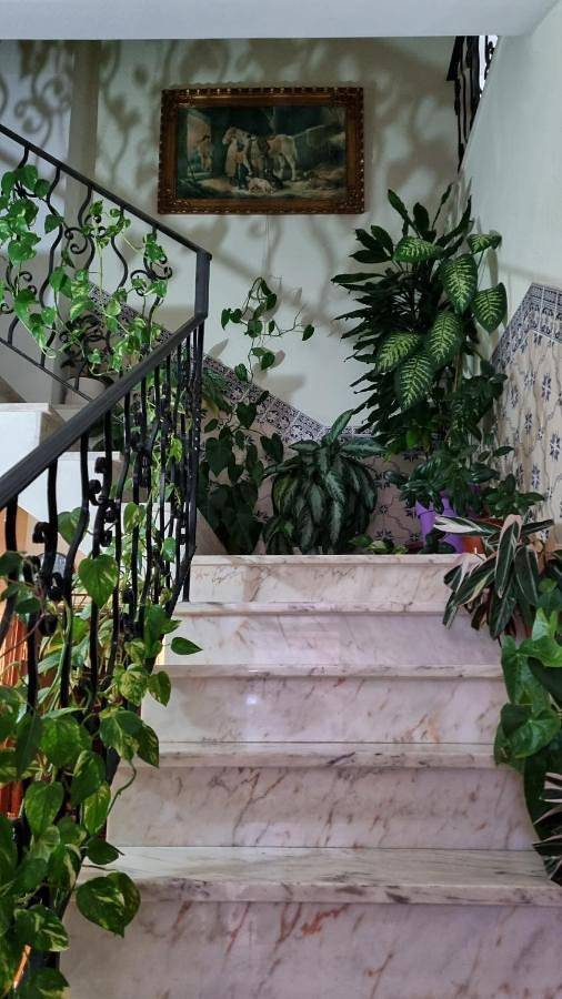 Maison d’hôte pour 2 personnes, animaux acceptés à Portimão - 2