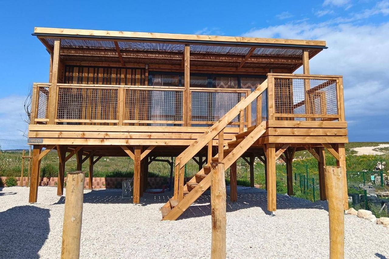 Camping les Tamaris *** in Côte méditerranéenne (France)