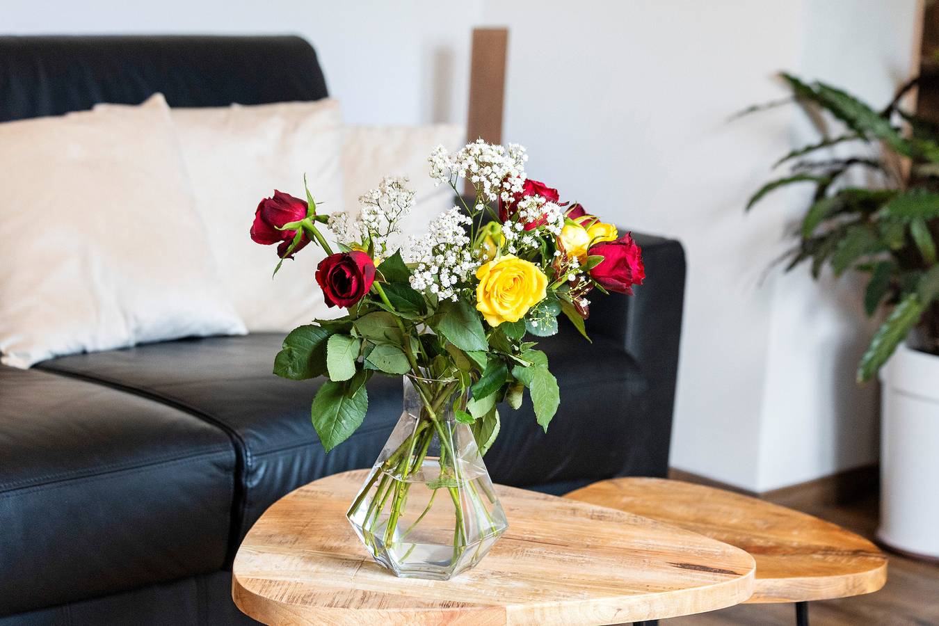 Ganze Wohnung, Apartment 'Aurelia' mit gemeinsamer Terrasse, Gemeinschaftsgarten und Wlan in Hattingen, Ennepe-Ruhr-Kreis