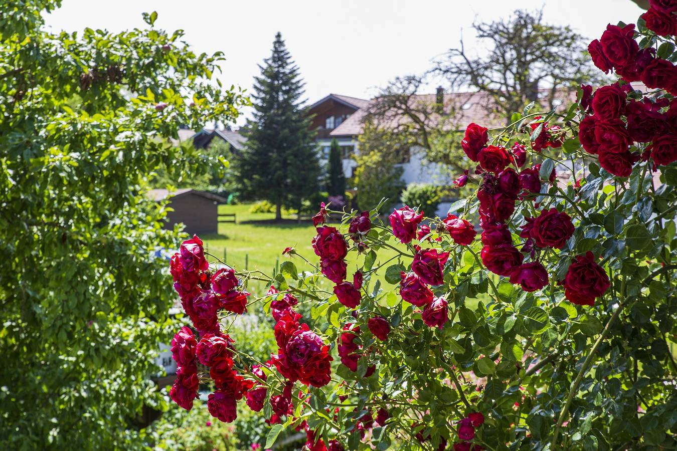 Ganze Ferienwohnung, Ferienwohnung Hutterer - Ferienwohnung 100 qm in Rimsting, Chiemsee