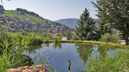 Ferienwohnung für 5 Personen in Seebach (Ortenaukreis), Mittlerer Schwarzwald, Bild 2