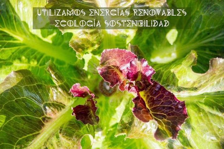 Camping für 2 Personen, mit Ausblick und Garten sowie Pool an der Costa de la Luz - 2