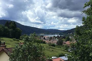 Chalet für 5 Personen, mit Haustier in Gérardmer