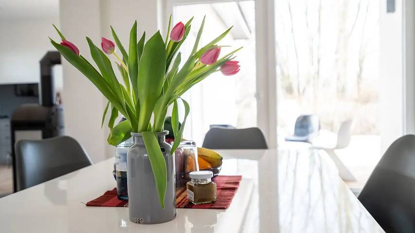 Ferienhaus für 4 Personen, mit Garten, mit Haustier in Buchholz - 3