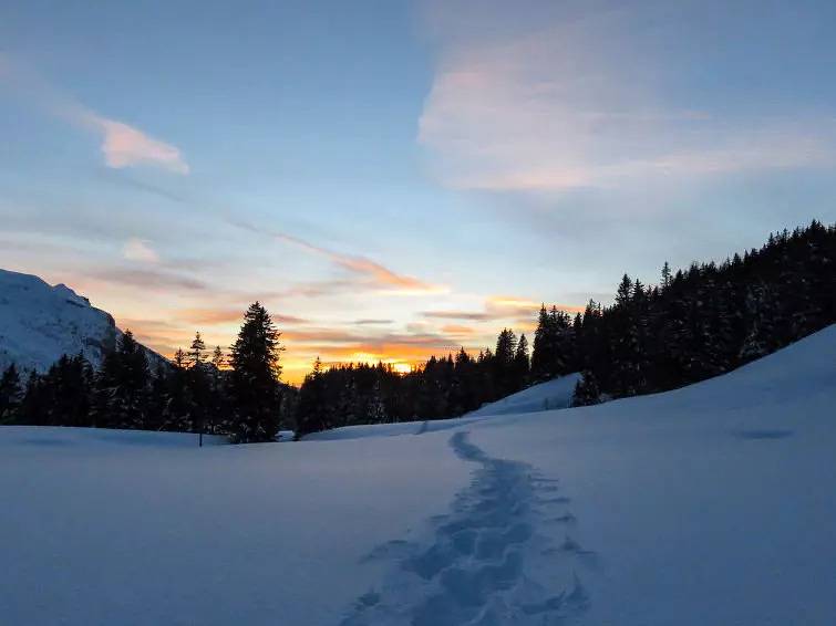 Chalet 10 Personnes in Les Diablerets, Ormont-Dessus (Les Diablerets)