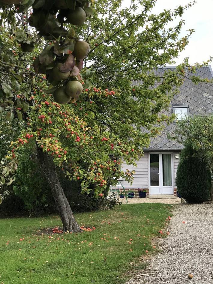 Gîte pour 6 personnes, avec terrasse et jardin à Ancretteville-sur-Mer
