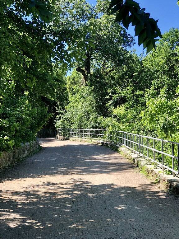 Ganze Wohnung, Gehen Sie zu allem von der schönen privaten Wohnung in der Nähe der Innenstadt und von Soco in Austin, Travis County