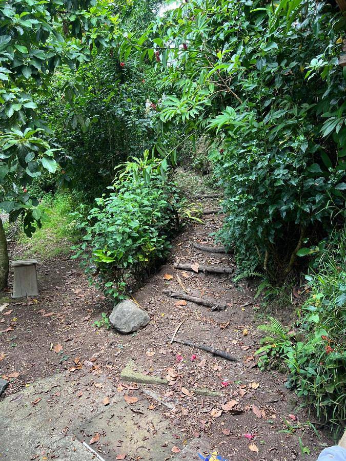 Location de vacances pour 3 personnes, avec vue ainsi que jardin et terrasse dans Uturoa - 4