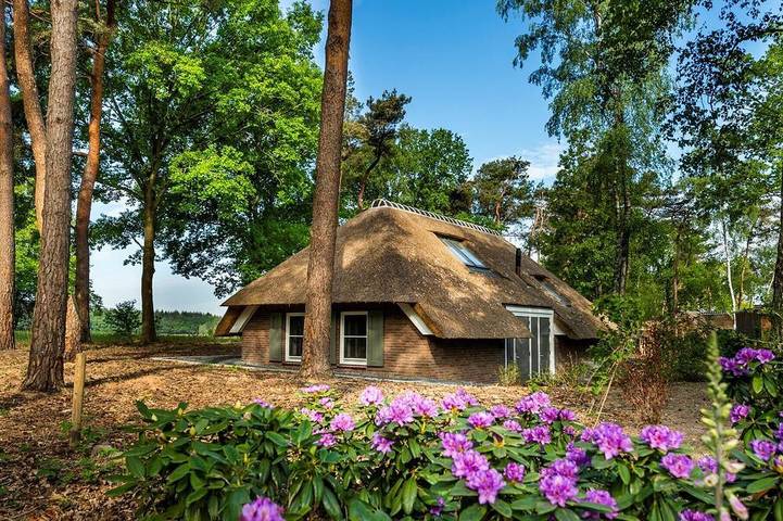 Vakantiepark voor 6 personen, met terras en tuin, met huisdier in Putten