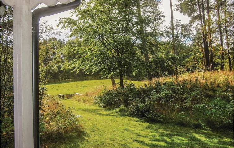 Ferienhaus für 5 Personen, mit Terrasse in Skane - 2
