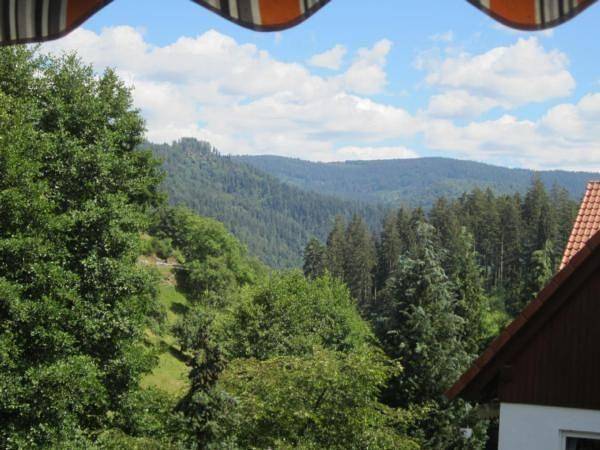 Ganze Ferienwohnung, Charmante Wohnung in Bermersbach in Forbach, Nordschwarzwald