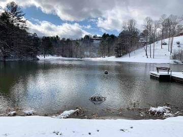 Log Cabin for 12 Guests in Fontana Lake, Graham County, Picture 3