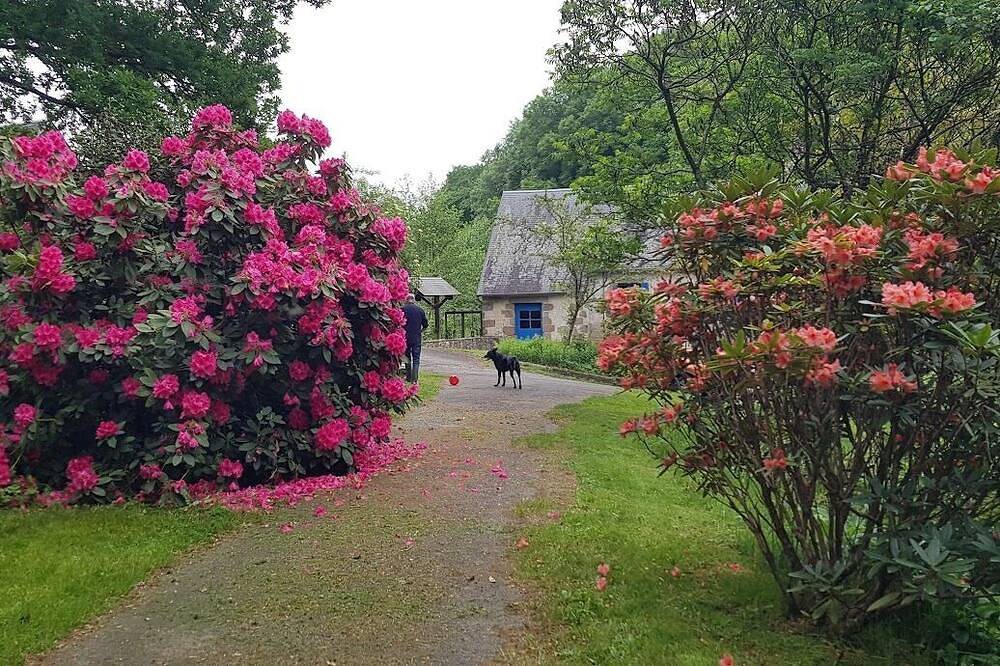 Le Moulin D'Airou in Villedieu-les-Poêles, Côte de la Déroute