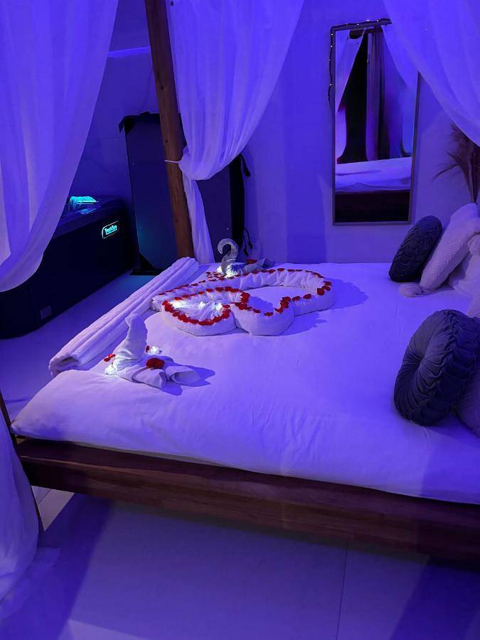 Location de vacances pour 2 personnes, avec jacuzzi et jardin à Villetelle - 2