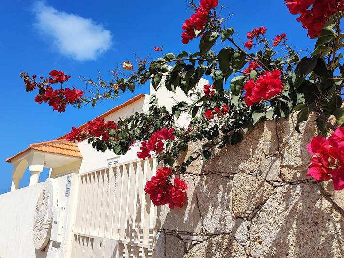 Appartement de vacances pour 3 personnes, avec vue et jardin, animaux acceptés