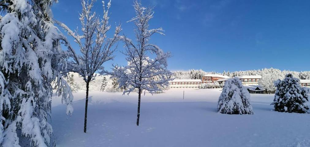 Parc de vacances pour 2 personnes à Autrans - 2