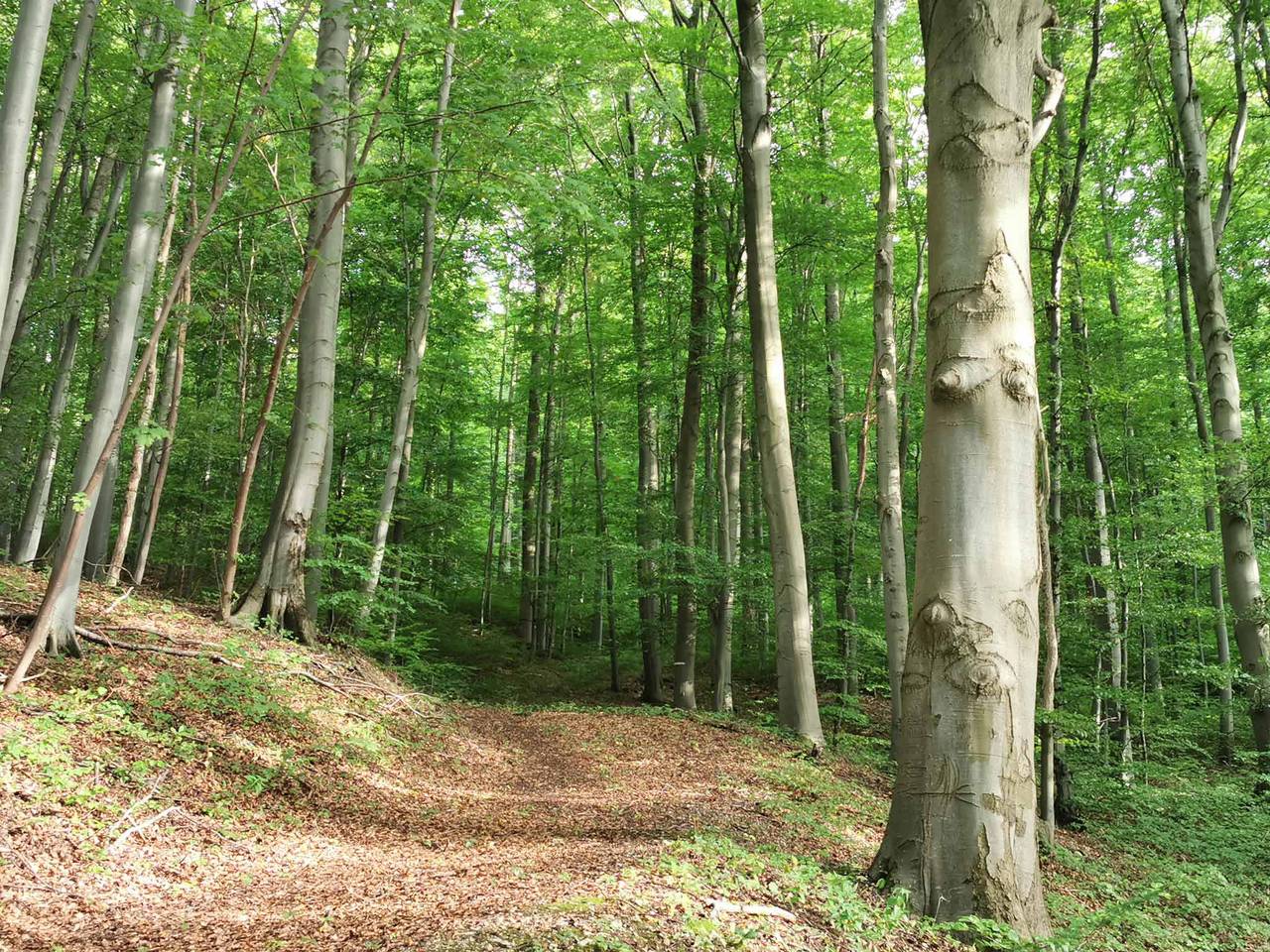 Ferienwohnung Rhön (Er) Leben - Ferienwohnung in Sondheim v.d.Rhön, Rhön-Bayern