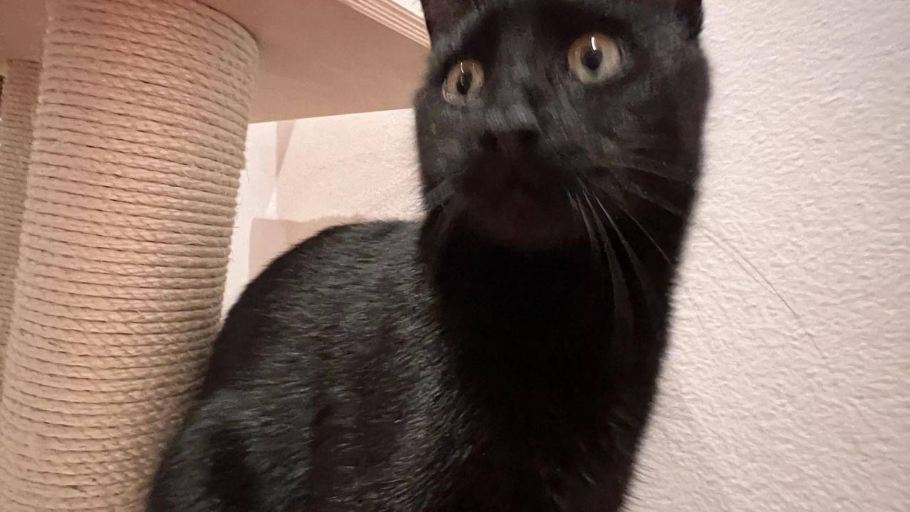 Ganze Ferienwohnung, Ferienwohnung für 2 Personen in Nebra (Unstrut) in Wangen (Nebra), Nebra (Unstrut)