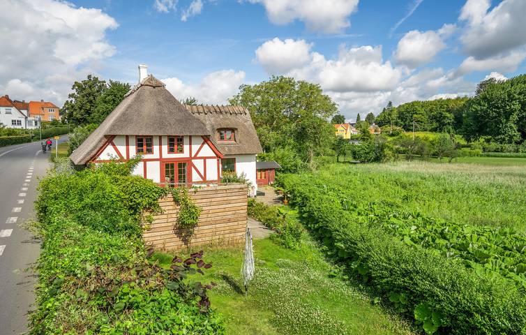 Ferienhaus für 4 Personen, mit Terrasse, mit Haustier in Dänische Südsee - 3