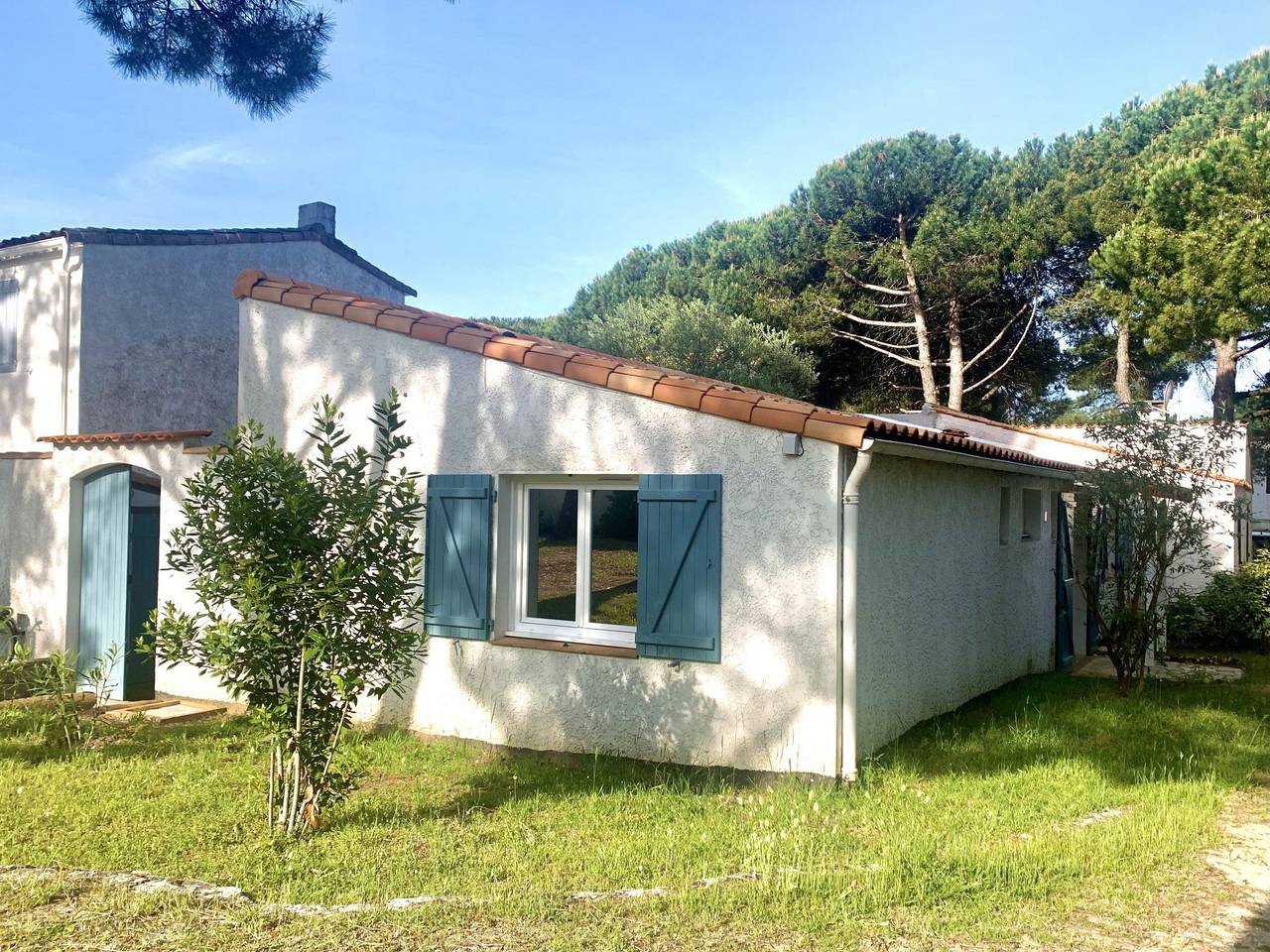 Les Trémières in La Palmyre, Les Mathes