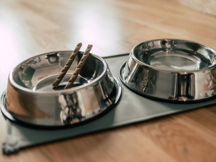 Hotel für 4 Personen, mit Haustier in Leipzig - 4