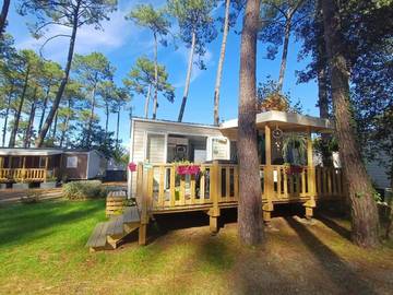 Camping pour 5 personnes, animaux acceptés à Seignosse