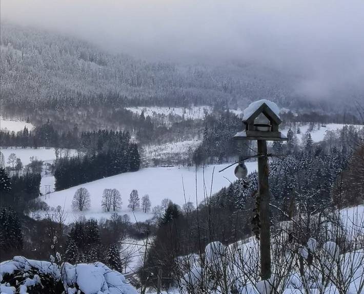 Gîte pour 12 personnes, avec jardin et terrasse à Le Bonhomme - 3