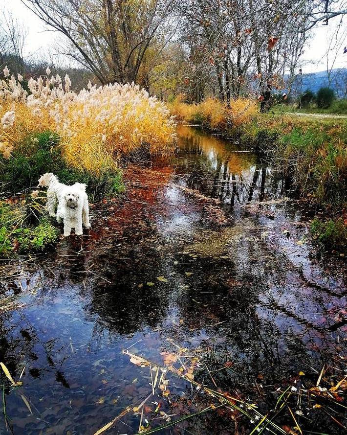 Location de vacances pour 5 personnes, avec piscine ainsi que vue et jardin à Serviès-en-Val - 4