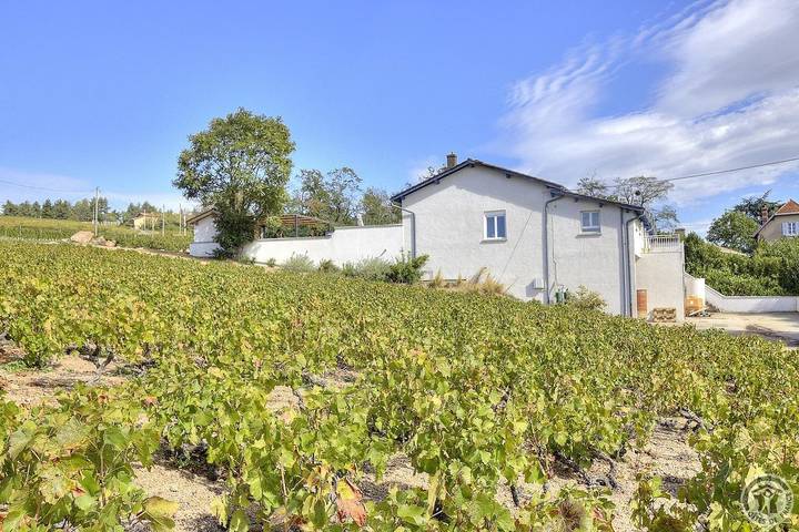 Gîte pour 15 personnes, avec Terrasse et Vue à Saint-Étienne-la-Varenne