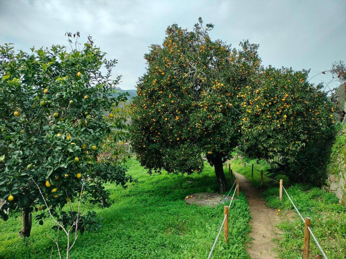 Quinta Vale do Cabo in Ribadouro, Baião