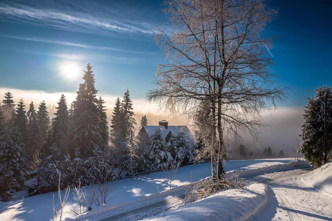 Jankówki - Dom w górach in Nowy Targ, Karpaty (Polska)