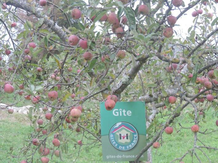 Location de vacances pour 2 personnes, avec vue et jardin, animaux acceptés à Arcizans-Dessus - 2