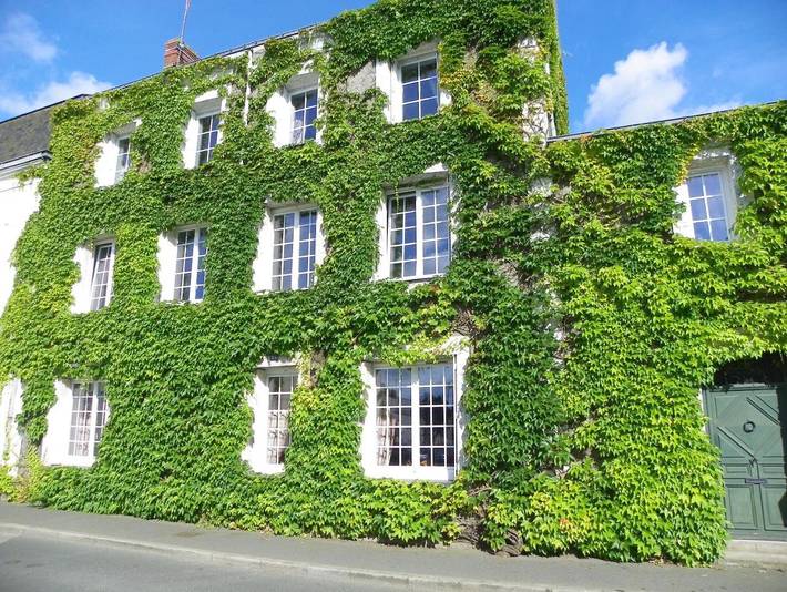 Chambre d’hôte pour 2 personnes, avec jardin et terrasse, animaux acceptés à Candé