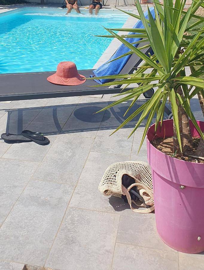 Location de vacances pour 2 personnes, avec piscine ainsi que jardin et terrasse, animaux acceptés à Bellegarde - 4