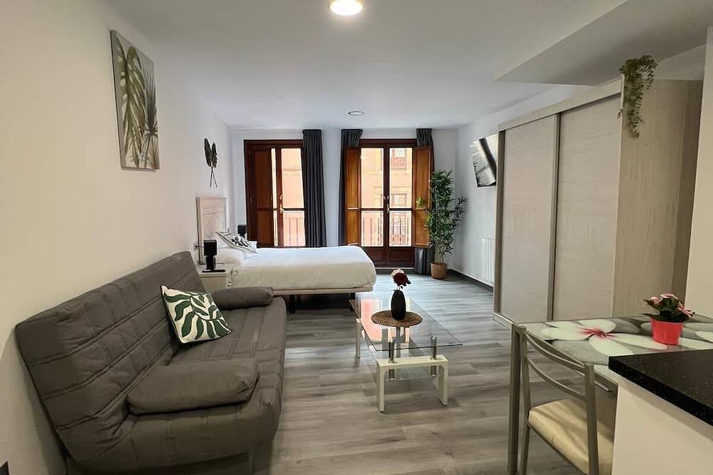 Entire apartment, Oviedo Center (Estudio1 Rosal) One minute from City Hall! in Oviedo, Cordillera Cantábrica