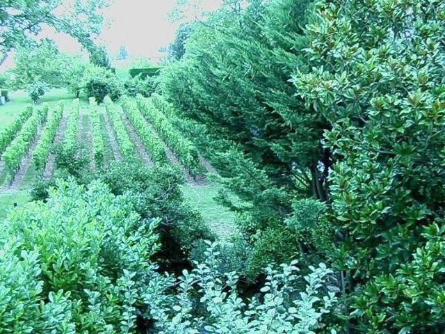 Location de vacances pour 3 personnes, avec vue et jardin à Saint-Sulpice-de-Faleyrens - 4