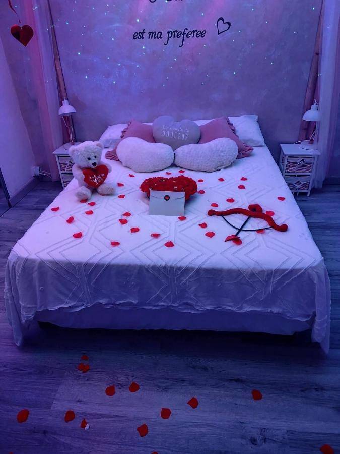 Location de vacances pour 4 personnes, avec vue et terrasse, animaux acceptés à Saint-Michel-l'Observatoire - 2